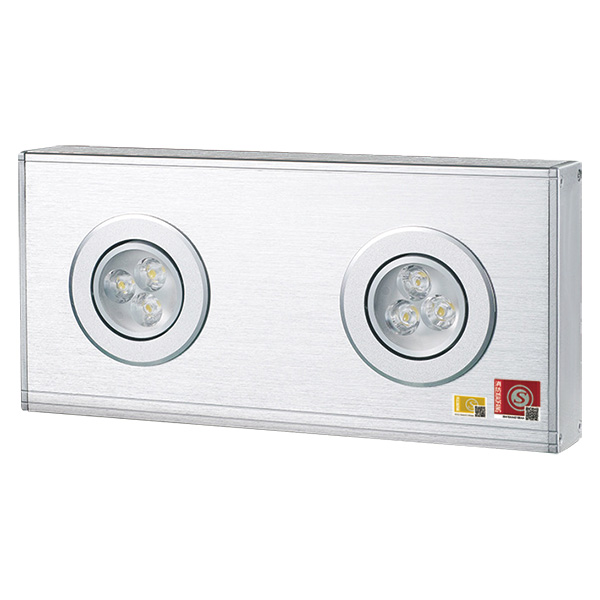 集中電源集中控制A型消防應(yīng)急標(biāo)志燈具