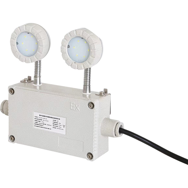 集中電源集中控制A型消防應(yīng)急標(biāo)志燈具